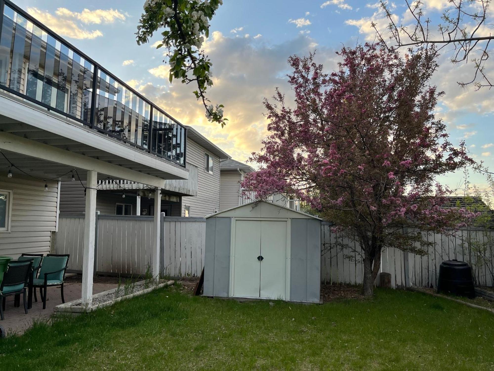Citadel Hill Cr Community! Apartment Calgary Exterior photo